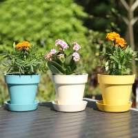 bright color flower pot,bamboo fiber garden plant pot,colorful indoor flower pots